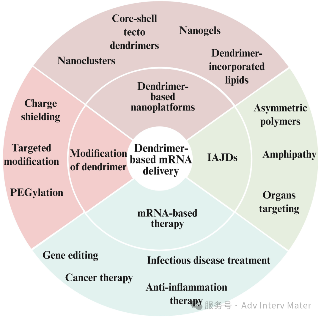 東華大學史向陽團隊Adv Interv Mater—樹狀大分子基納米藥物載體