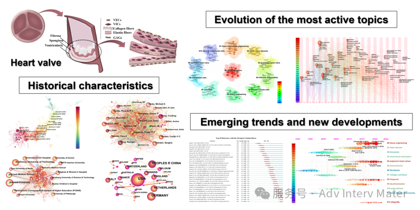 東華大學王璐、毛吉富與重慶大學王貴學Adv Interv Mater